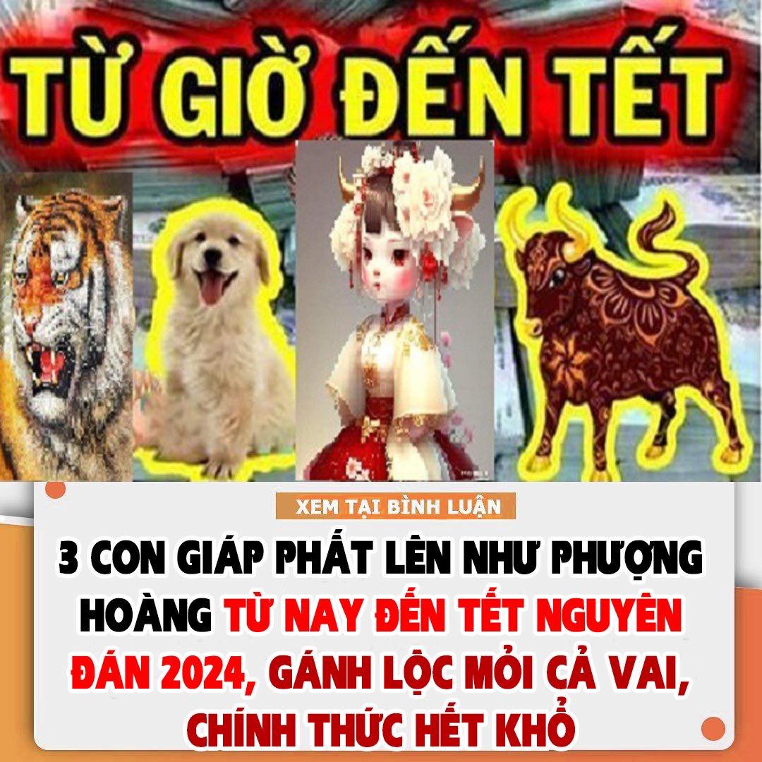 3 Con Giáp Phất Lên Như Phượng Hoàng Từ Nay Đến Tết Nguyên Đán 2024, Gánh Lộc Mỏi Cả Vai, Chính Thức Hết Khổ