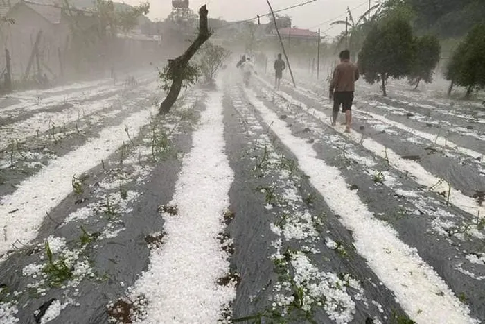 Chuyên Gia Lý Giải Nguyên Nhân Nhiều Cơn Mưa Đá Trắng Trời Những Ngày Qua