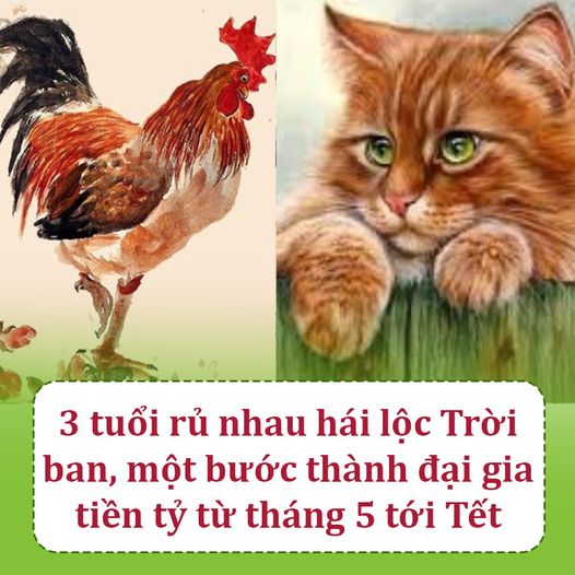 3 Tuổi Rủ Nhau Hái Lộc Trời Ban, Một Bước Thành Đại Gia Tiền Tỷ Từ Tháng 5 Tới Tết